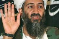 Британские СМИ сообщают о гибели семьи бен Ладена