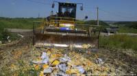 За день в России уничтожили 320 тонн санкционных продуктов
