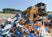 В Крыму закопали 4 тонны санкционных продуктов