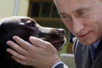 Собаку Путина возили отдельным самолетом /СМИ/