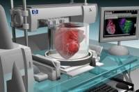 Ученые создали аппарат для трансплантации, который позволяет сердцу биться вне тела человека