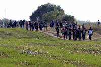 Несколько сотен мигрантов вырвались из лагеря беженцев в Венгрии. Полиция бросилась в погоню
