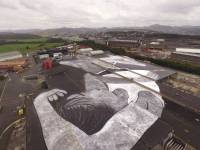 Во Франции создали гигантский стрит-арт, который можно увидеть разве что из самолета