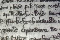 Ученые обнаружили древнейшее упоминание слова fuck