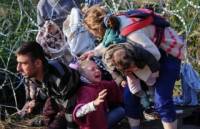 Венгрия начала строить заграждения на границе с Хорватией для защиты от мигрантов