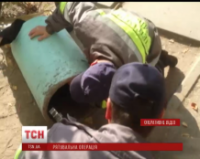 В Киеве первоклассника пришлось вырезать из мусорника