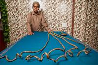 Житель Индии 62 года отращивал ногти, чтобы попасть в Книгу рекордов Гиннесса