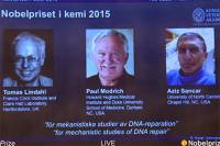Нобелевскую премию по химии присудят за «починку» ДНК