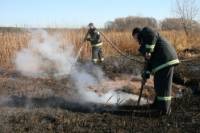 Под Киевом снова горят торфяники. Спасатели делают все возможное