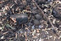 В Марьинском районе обнаружен тайник с боеприпасами