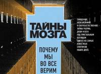 Новинки научпопа: носки в клетку, объятия Морфея и возбуждающие пчелы