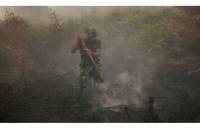 Сильнейшие лесные пожары уже стоили жизни 19 индонезийцам