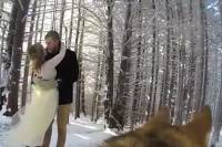 Собака сняла свадебное видео для своих хозяев