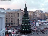 Главную новогоднюю елку Украины завтра привезут в Киев из Прикарпатья