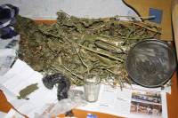В Кременчуге у местного жителя изъяли весьма внушительный запас марихуаны