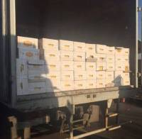 В Донецкой области задержали фуры с продуктами для боевиков