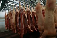 Россия вводит запрет на импорт украинской свинины