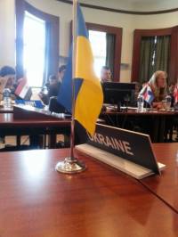 Делегация Украины покинула заседание ОЧЭС из-за председательства РФ