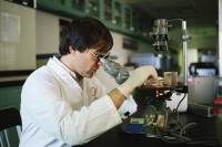 Медики предложили радикально новый подход к лечению рака