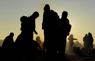 На Закарпатье задержаны 17 нелегальных мигрантов