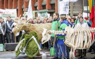 В Литве протестовали молочники