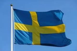 Швеция готова инвестировать в экономику Украину 165 млн евро /посол/