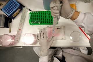 Ученые поняли, почему рак кожи нельзя вылечить