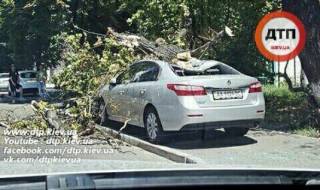 В центре Киева рухнувшее дерево раздавило автомобиль