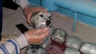 На Сумщине задержали россиянина, при котором было... 22 кг наркотиков