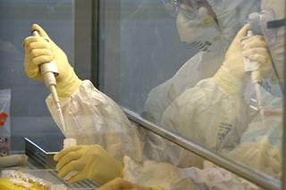 Иммунологи приблизились к созданию универсальной прививки от гриппа