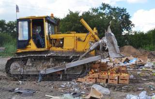 В России за год уничтожили более 7,5 тысяч тонн продуктов