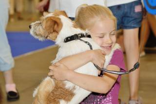 В Киеве пройдут несколько выставок собак. Не пропустите