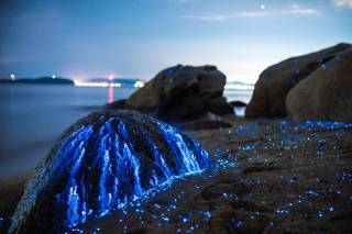 Такие странные картины по ночам можно увидеть на юго-западном побережье Японии