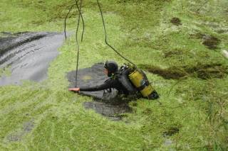 На Харьковщине две женщины утонули в собственном автомобиле