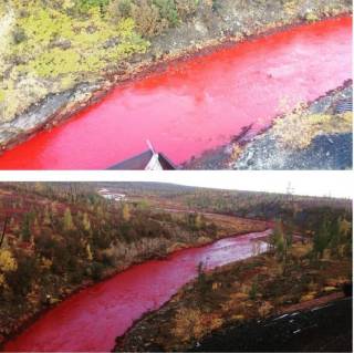 В России появилась кровавая река