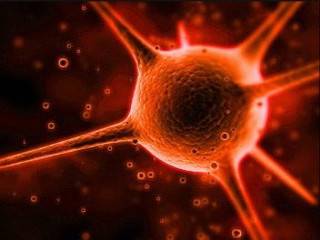 Двое киевлян подхватили ботулизм, отведав тушенки из крупного супермаркета