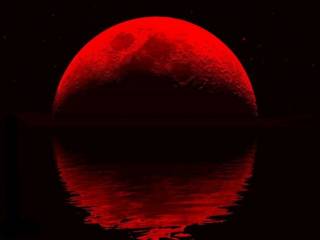 Через полчаса над Украиной взойдет «кровавая Луна»