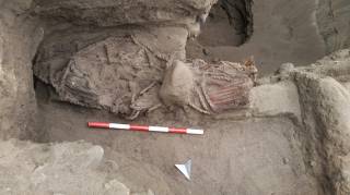 Раскопки и находки: археологические итоги 2016 года