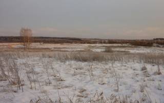 Земельное рабство на 10 лет: «Мрия» С.Чернявского подделала подписи на договорах 350 крестьян