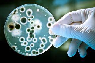 Английские ученые выяснили, что антибиотики способны ускорять рост бактерий примерно в три раза