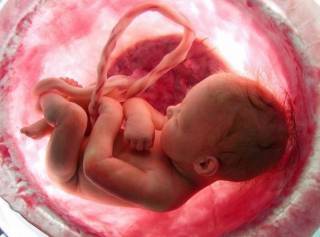 В Китае родился здоровый ребенок из замороженного 16 лет назад эмбриона