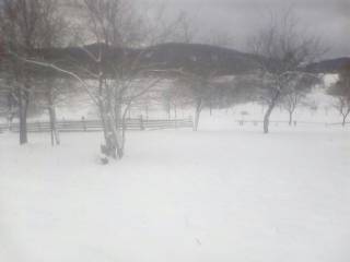 Зима решила вернуться в Украину. Львовскую область замело снегом