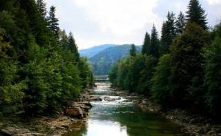 Украина начинает страдать от нехватки воды. Экологи били в набат еще 5 лет назад