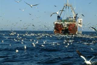 В аннексированном Крыму задержали украинское судно