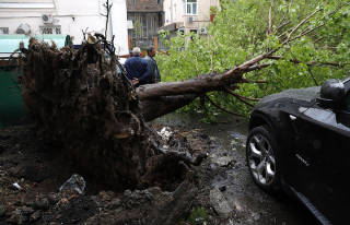 Москва приходит в себя после урагана: 14 погибших, 170 пострадавших и миллионные разрушения