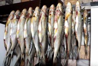 Отведав вяленой рыбки, в Киеве от ботулизма умер человек. Еще двоим повезло больше
