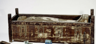 Ученым впервые удалось получить ДНК древнеегипетских мумий