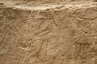 Американские ученые обнаружили самые древние египетские иероглифы