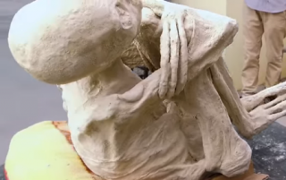 В Перу нашли мумию, которая очень похожа на инопланетянина