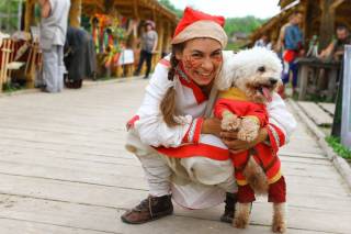 Под Киевом пройдет фестиваль домашних любимцев «Лохматые лапки»